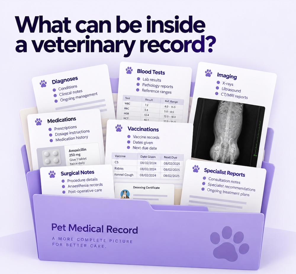 inside a veterinary record